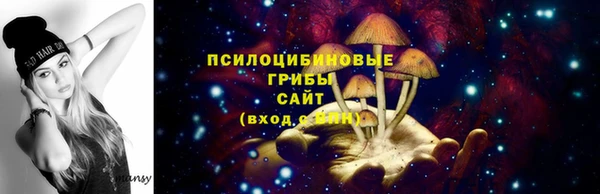 мяу мяу мука Алзамай