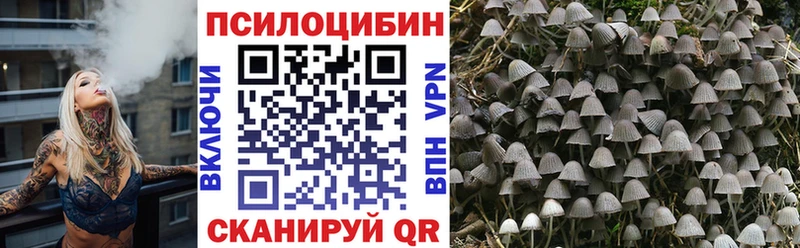 OMG как зайти  Сельцо  Псилоцибиновые грибы MAGIC MUSHROOMS 