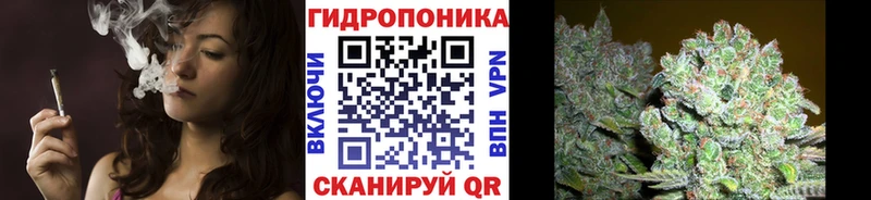 Шишки марихуана OG Kush  даркнет сайт  Сельцо 